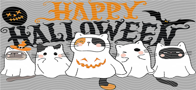 16oz Halloween-J 403
